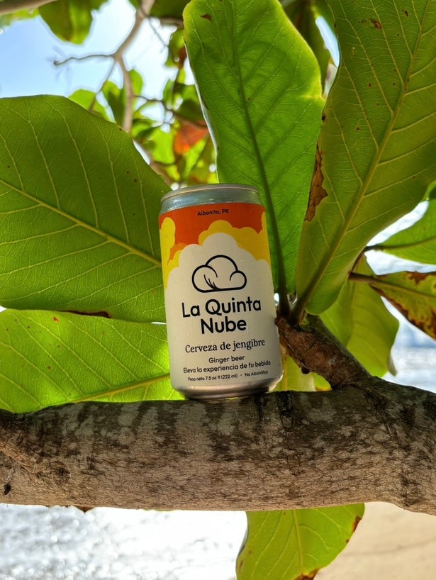 La Quinta Nube Ginger Beer (no alcohólica)